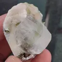 specimen video