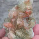 specimen video