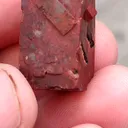 specimen video