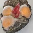 Apophyllite - image 3