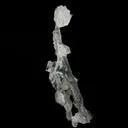 Apophyllite Crystals on Sparkling MM Quartz Stalactite Natural Mineral Specimen - image 3