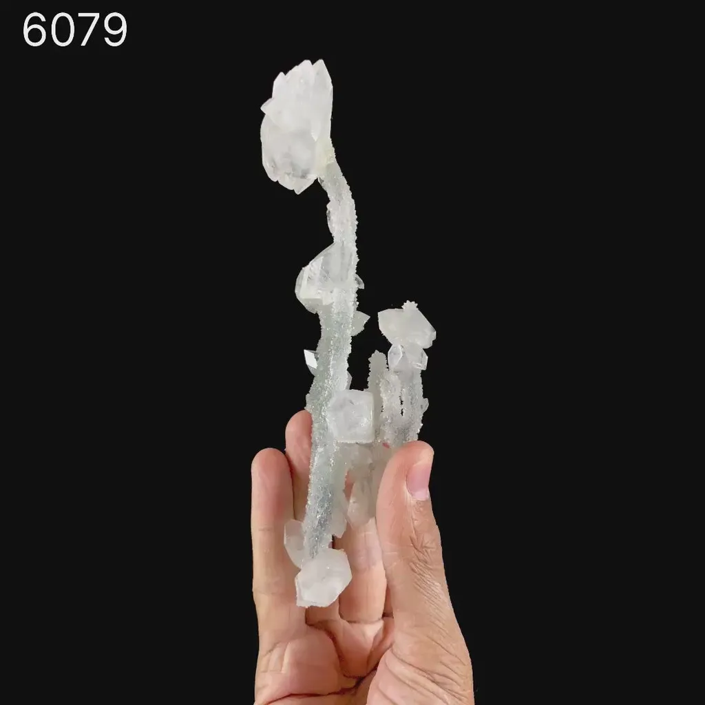 Apophyllite Crystals on Sparkling MM Quartz Stalactite Natural Mineral Specimen - image 7