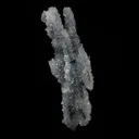 Apophyllite Crystals on Sparkling MM Quartz Stalactite Natural Mineral Specimen - image 5