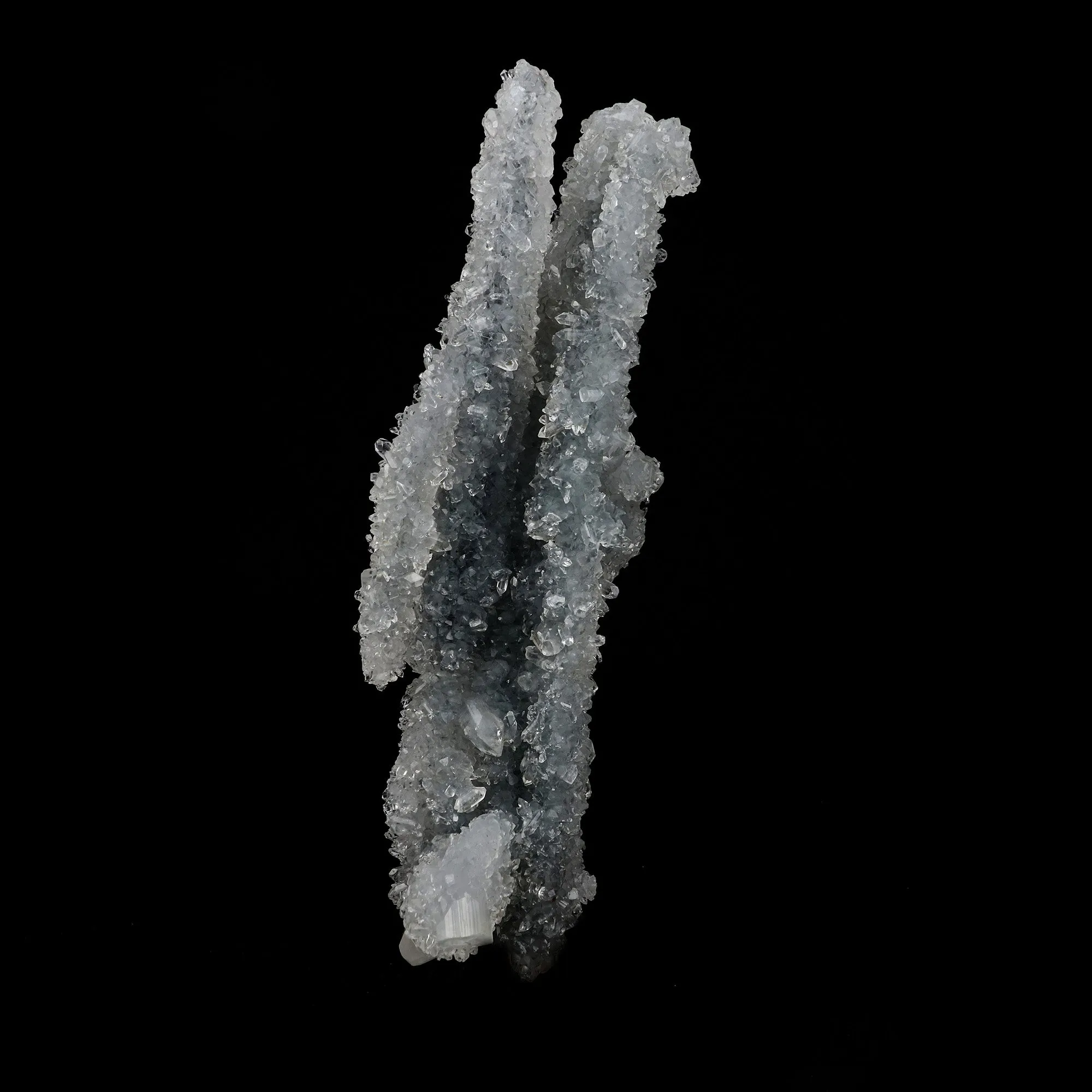 Apophyllite Crystals on Sparkling MM Quartz Stalactite Natural Mineral Specimen - image 1