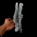 Apophyllite Crystals on Sparkling MM Quartz Stalactite Natural Mineral Specimen - image 4