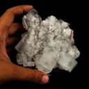 Apophyllite Cubes on Chalcedony Natural Mineral Specimen - image 4