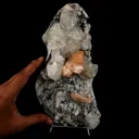 Apophyllite Cubes with Stilbite on Chalcedony Natural Mineral Specimen - image 5