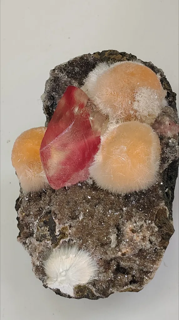 Apophyllite image