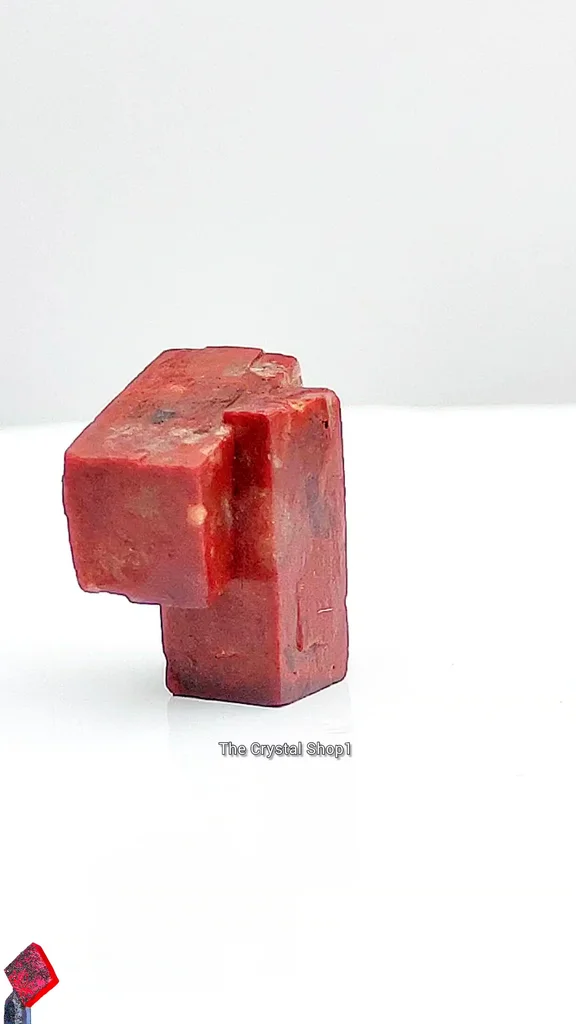 specimen video