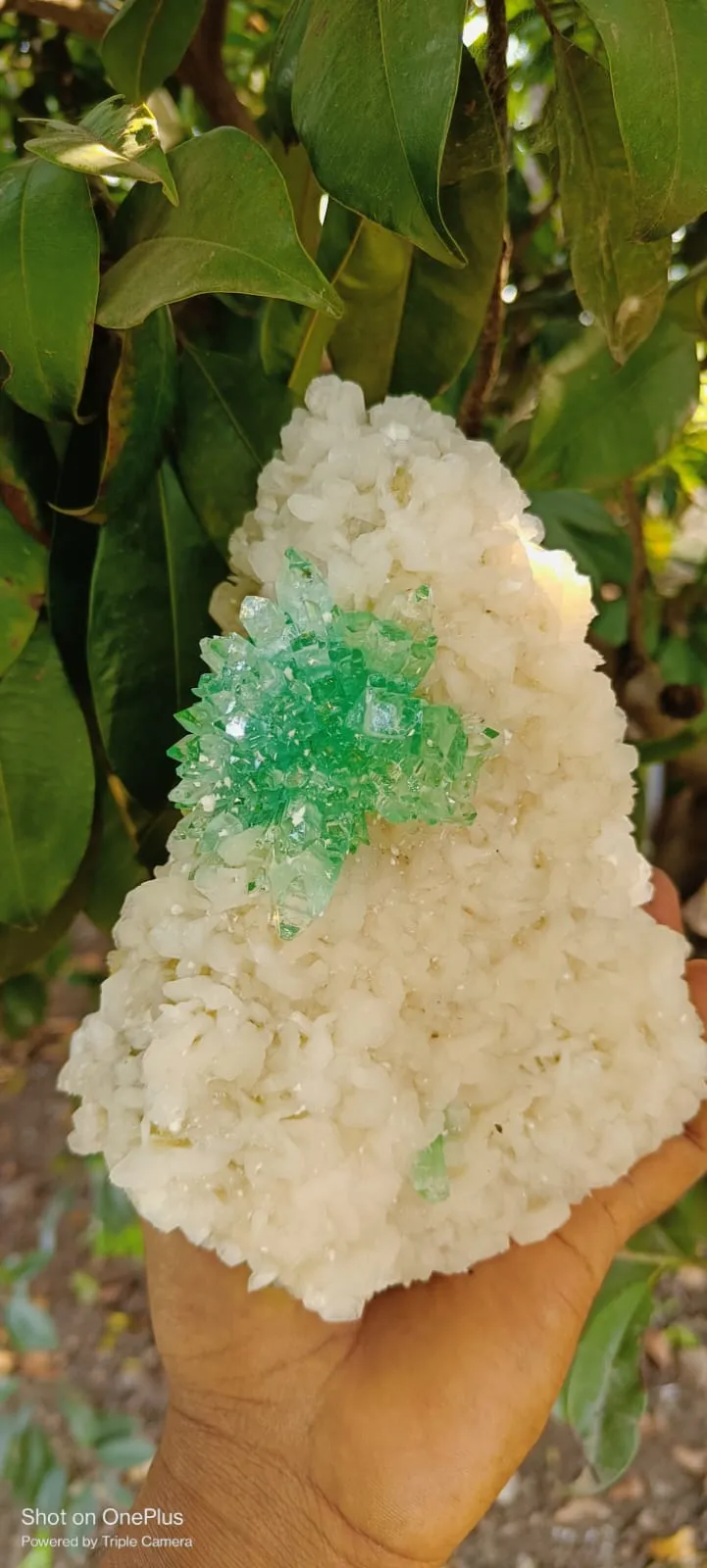 Apophyllite from India - image 2