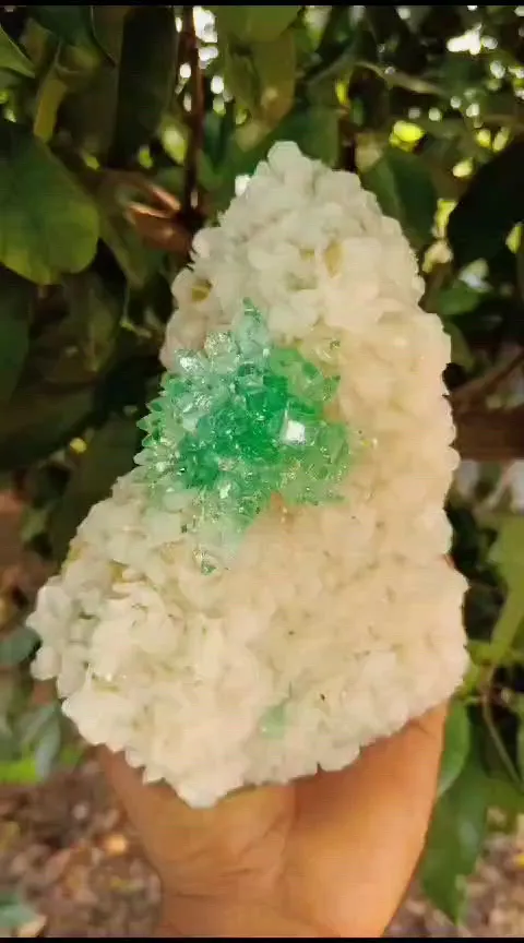 specimen video