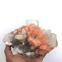 Apophyllite from India, Madhya Pradesh, Deshgaon - image 1