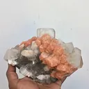 Apophyllite from India, Madhya Pradesh, Deshgaon - image 3