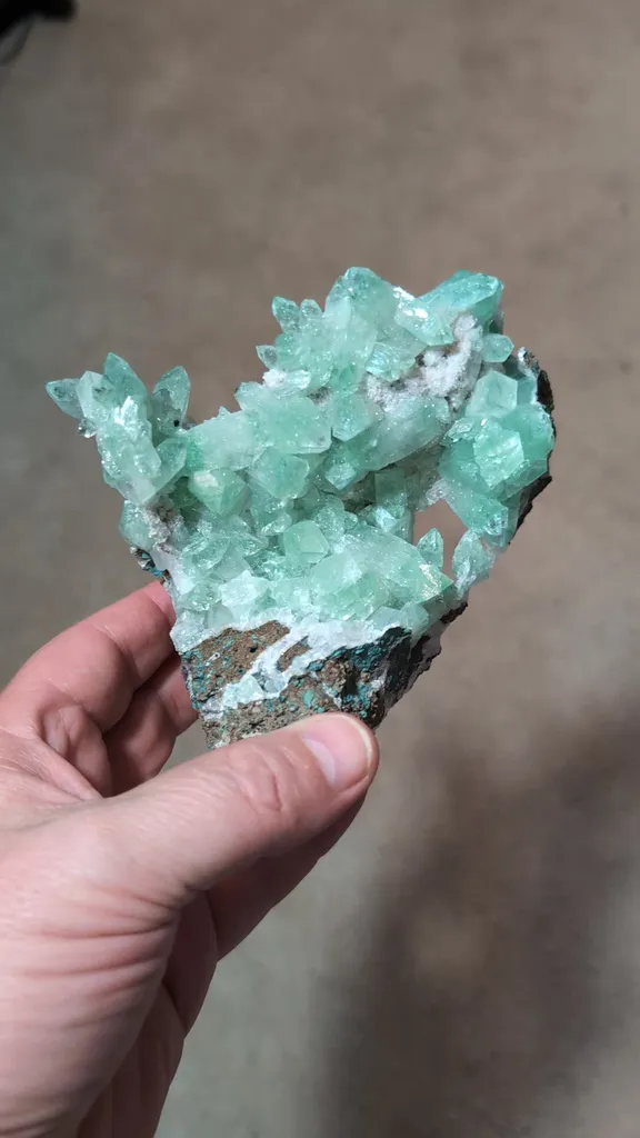 specimen video