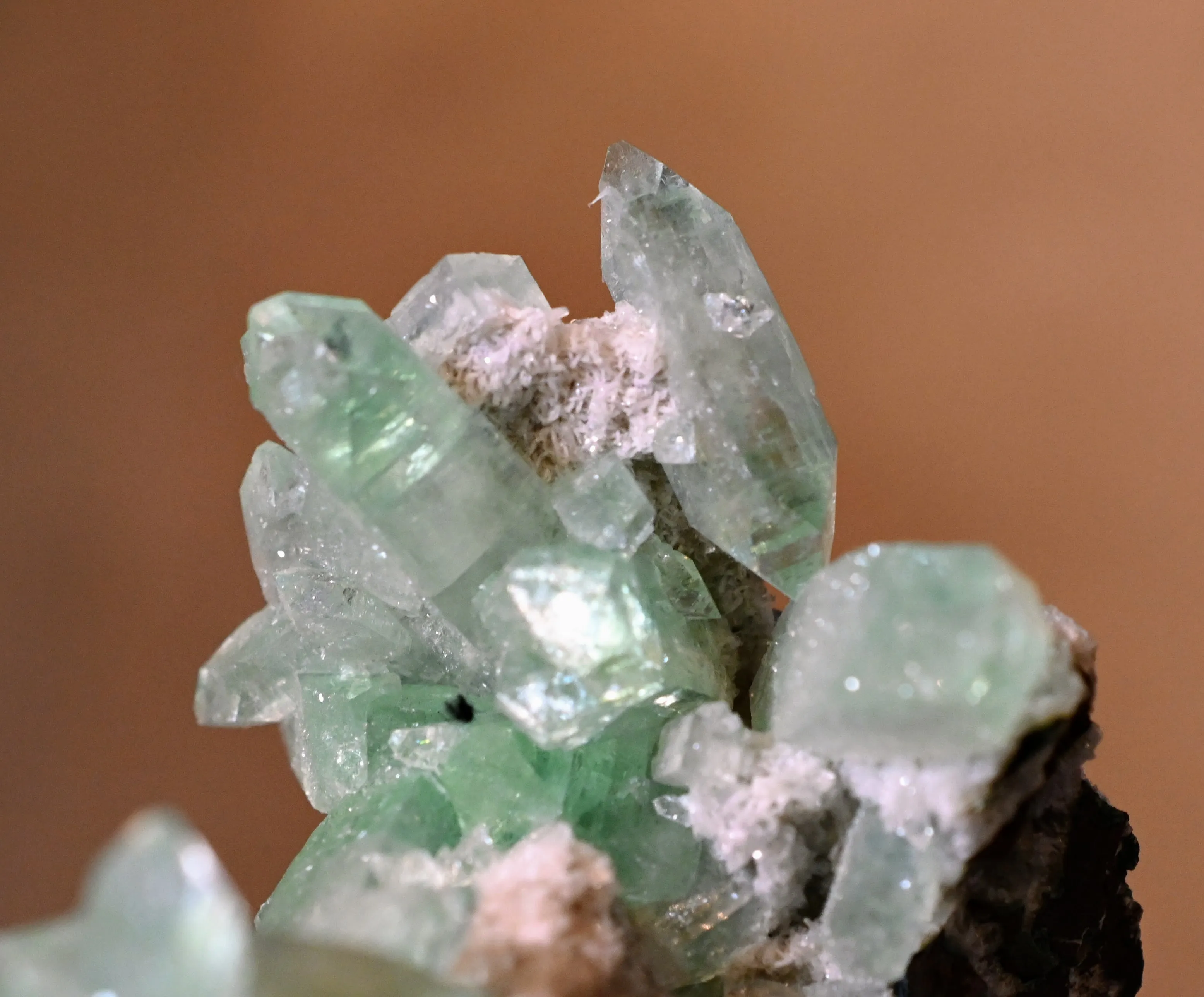 Apophyllite from India, Maharashtra, Pune Division, Pune District - image 5