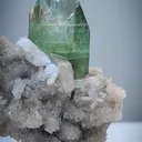 specimen video