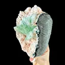 Apophyllite from Jalgaon, Jalgaon District, Nashik Division, Maharashtra, India - image 3