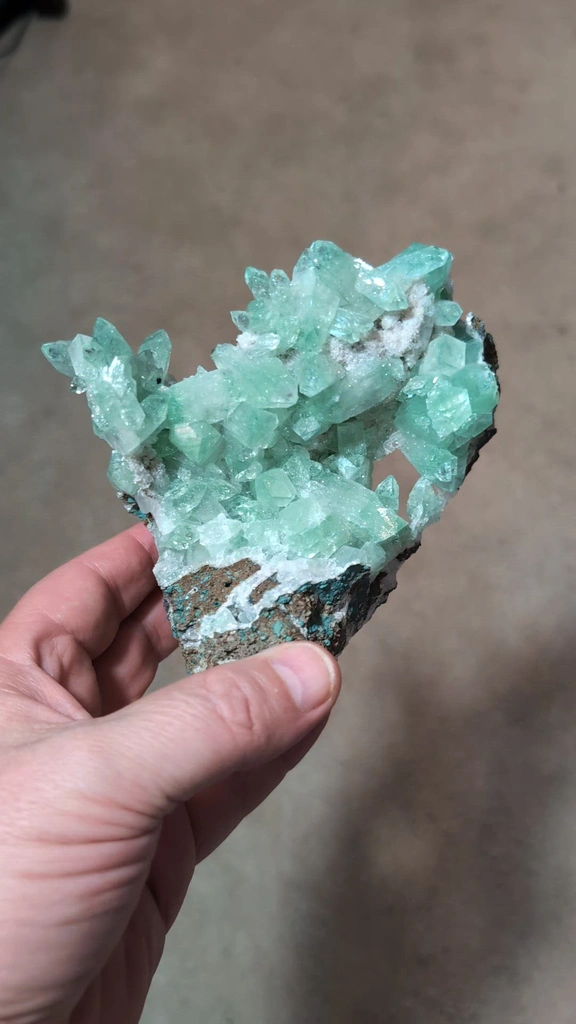 specimen video