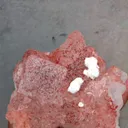 specimen video