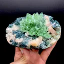 Apophyllite Green Flower on Chalcedony Natural Mineral Specimen - image 1