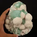 Apophyllite Green with Mordenite Natural Mineral Specimen - image 4