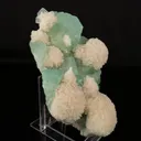 Apophyllite Green with Mordenite Natural Mineral Specimen - image 3