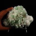 Apophyllite Green with Mordenite Natural Mineral Specimen - image 4