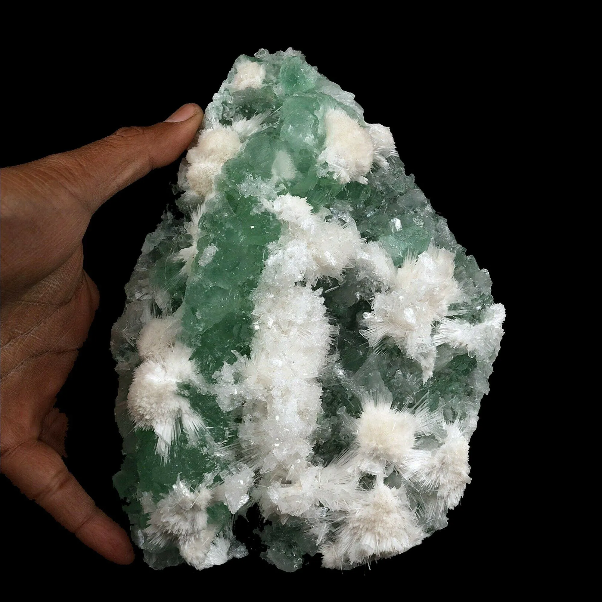 Apophyllite green with Scolecite on Chalcedony A Real Attention Grabber - image 4