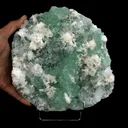 Apophyllite Green with Scolecite on Chalcedony Natural Mineral Specimen - image 4