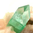 Apophyllite in Stilbite - image 2