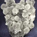 Apophyllite-(Kf), Quartz (Var: Chalcedony) - image 1