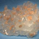 Apophyllite-(Kf), Stilbite-Ca - image 1
