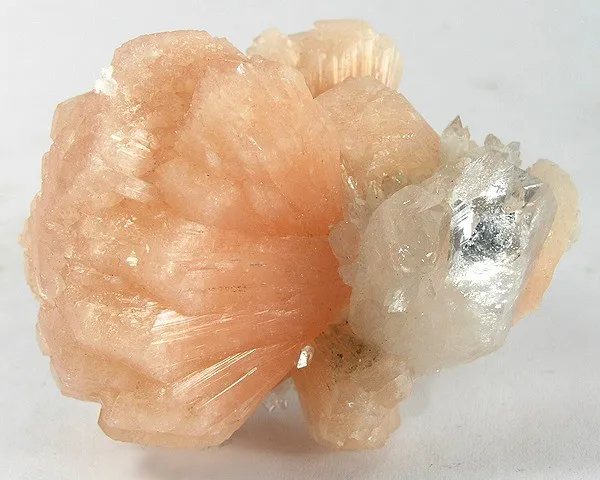 Apophyllite-(Kf), Stilbite-Ca image
