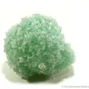 Apophyllite on Mesolite (New Find!) - image 1