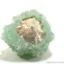 Apophyllite on Mesolite (New Find!) - image 3