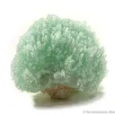 Apophyllite on Mesolite (New Find!) - image 2
