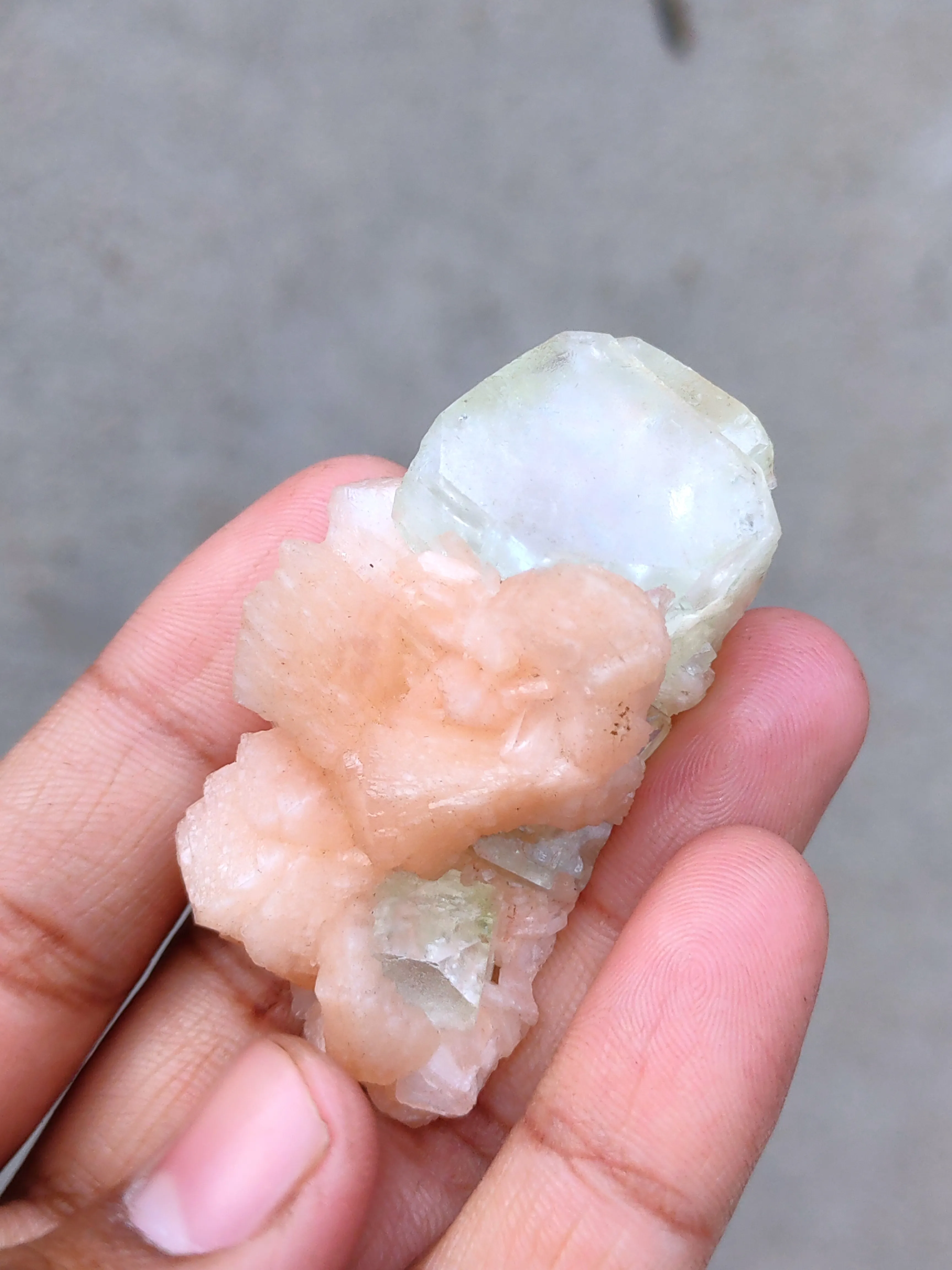 Apophyllite on Orange Stilbite - image 6