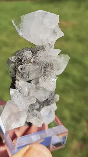 specimen video