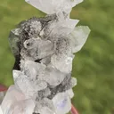 specimen video
