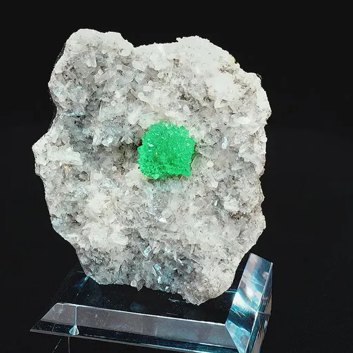 specimen video