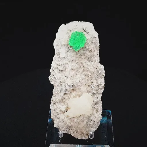 specimen video