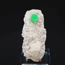 specimen video