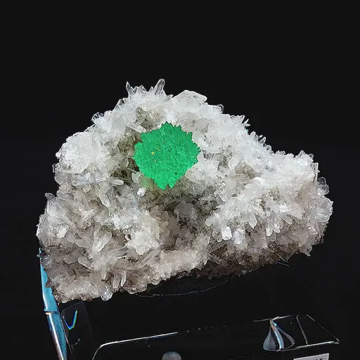 specimen video