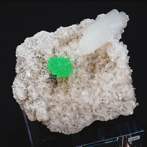 specimen video
