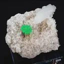 specimen video
