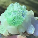 specimen video
