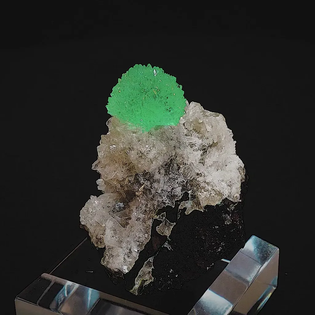 specimen video