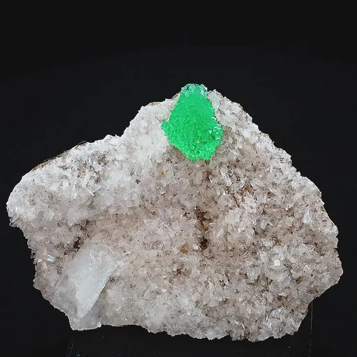 specimen video