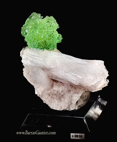 Apophyllite on Stilbite image