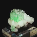 specimen video